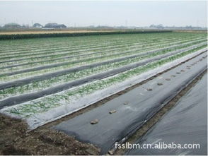 茂名廠家直供農用薄膜 茂南豐收塑料薄膜廠產品供應介紹