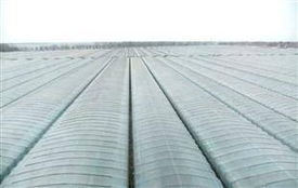 大棚膜選購指南 廠家、價格與批發全解析